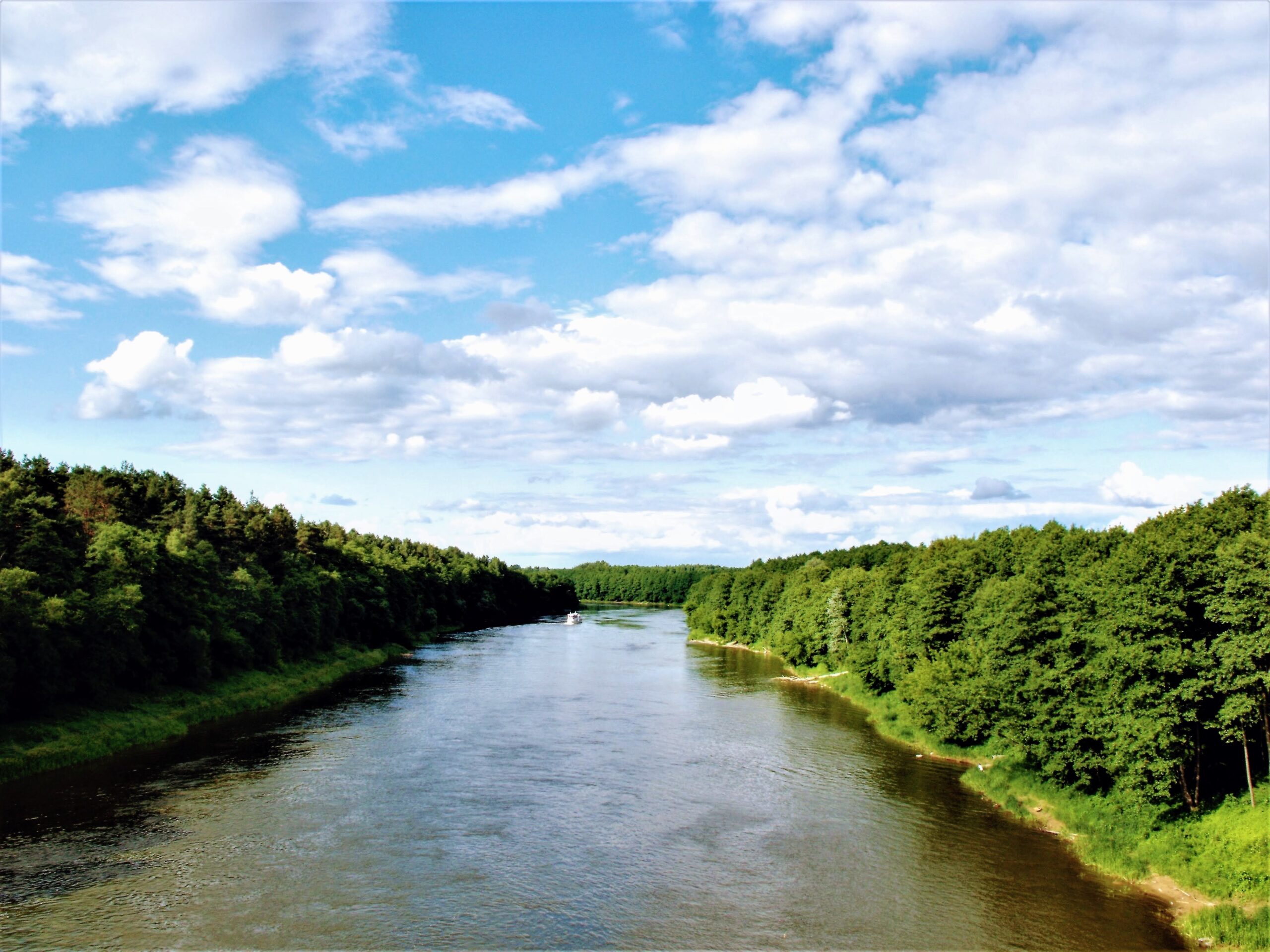 rzeka niemen