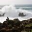 wielkie fale w cascais