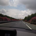 to jest wybitny alt tekst